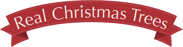 Real Christmas Trees logo